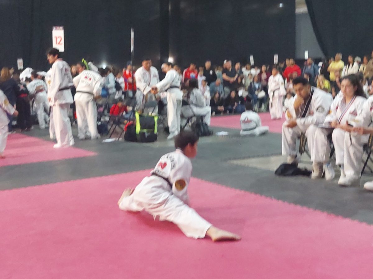 Campeonato Panamericano de Taekwondo