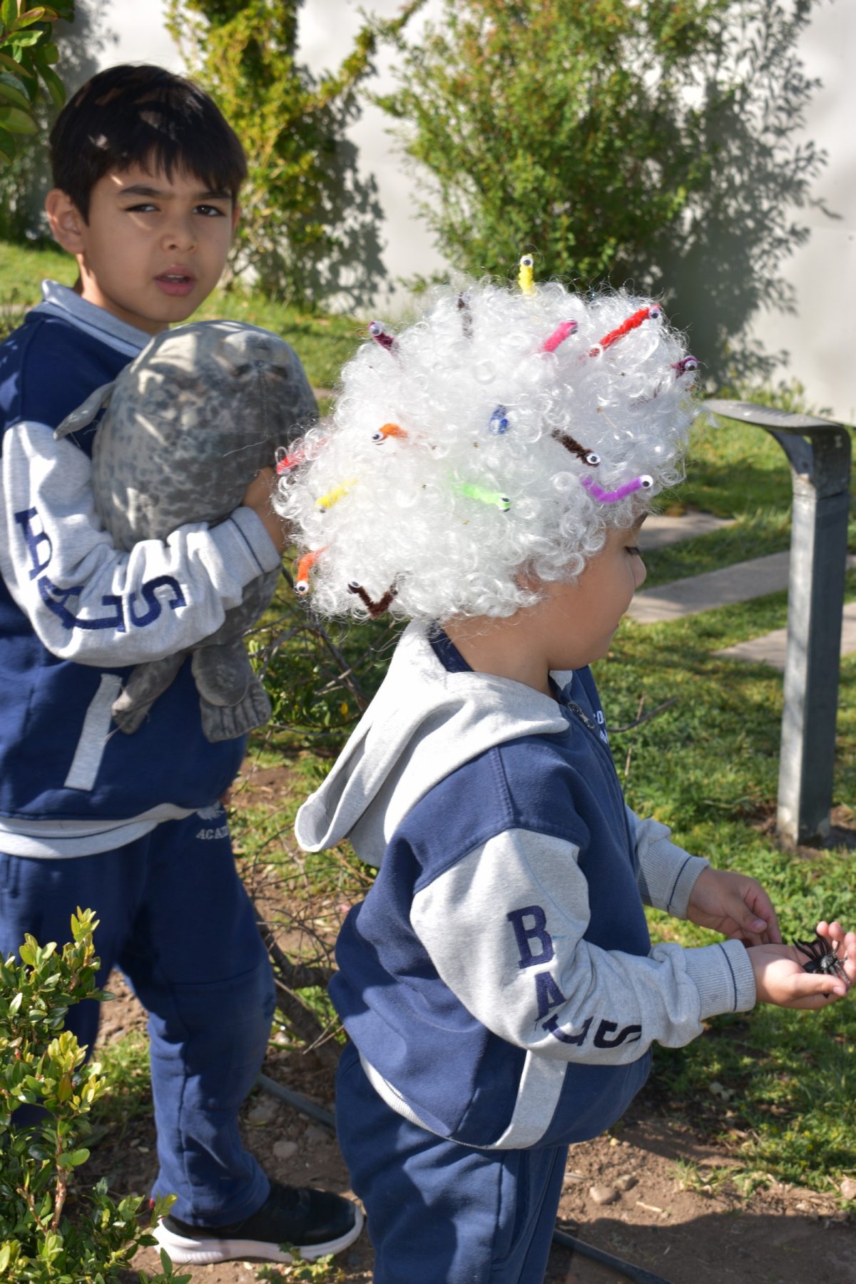 CELEBRACIÓN ANIVERSARIO BALS – 2025