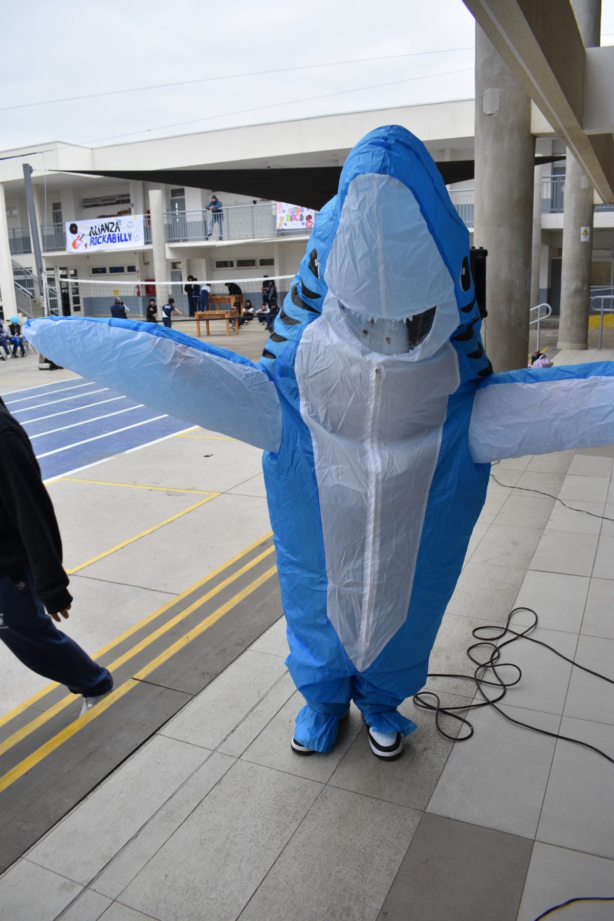 CELEBRACIÓN ANIVERSARIO BALS – 2025