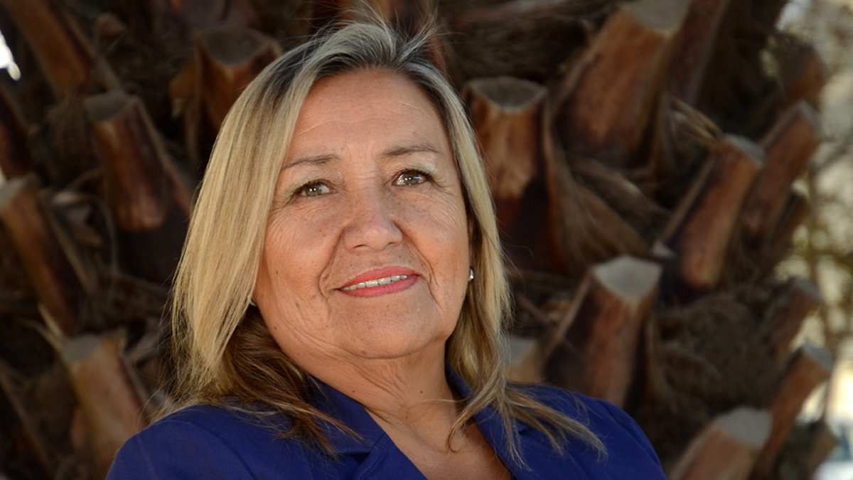 ¡Bienvenidos/as a un nuevo año escolar!