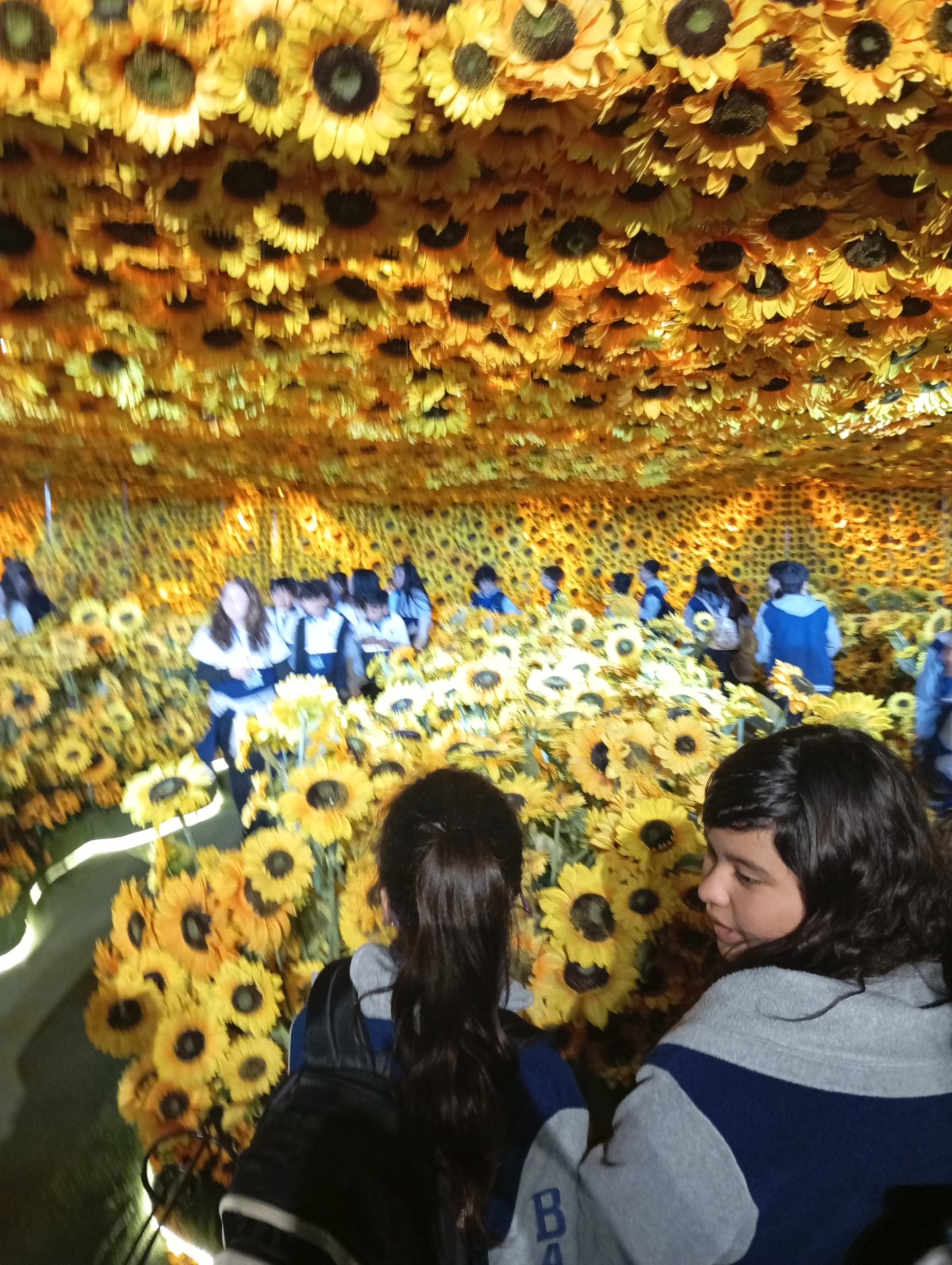 El arte cobró vida! Quintos básicos disfrutan de la reconocida exposición internacional “Van Gogh en Vivo: La Experiencia Real”