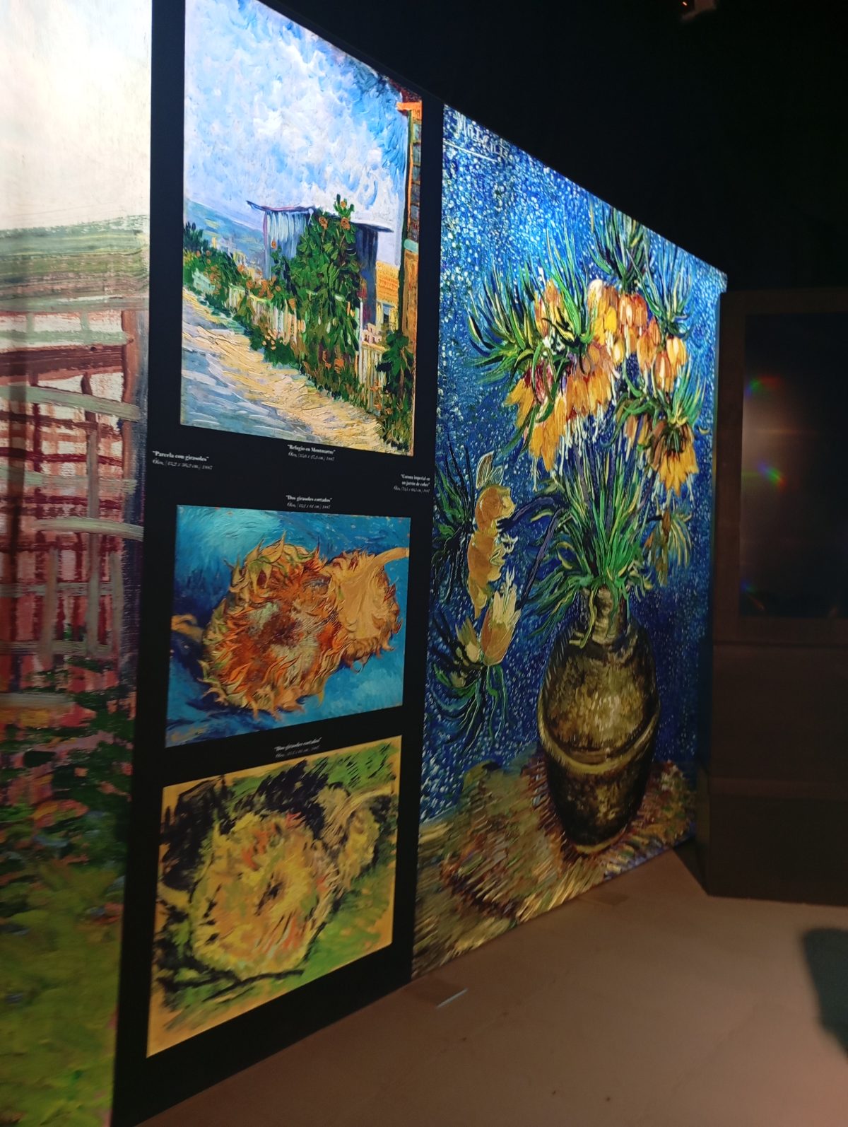 El arte cobró vida! Quintos básicos disfrutan de la reconocida exposición internacional “Van Gogh en Vivo: La Experiencia Real”