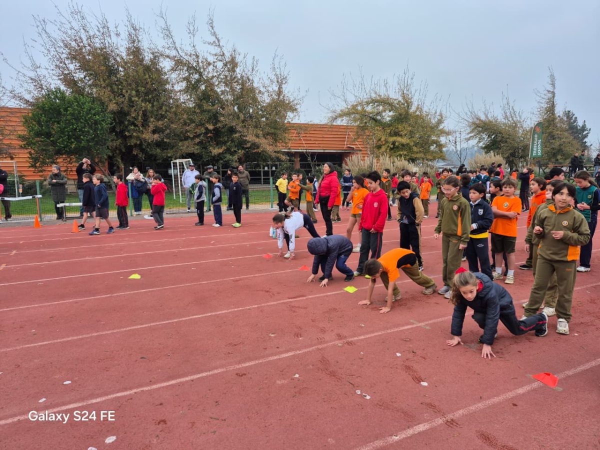 Festival de atletismo acercó a los más pequeños al mundo de las carreras, saltos y lanzamientos