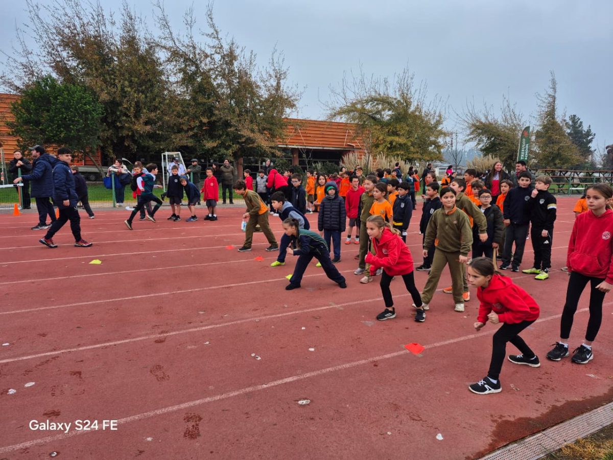 Festival de atletismo acercó a los más pequeños al mundo de las carreras, saltos y lanzamientos