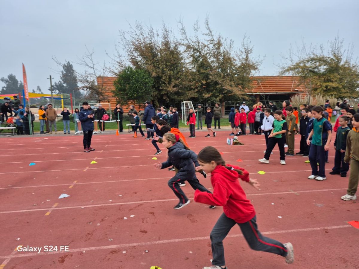 Festival de atletismo acercó a los más pequeños al mundo de las carreras, saltos y lanzamientos
