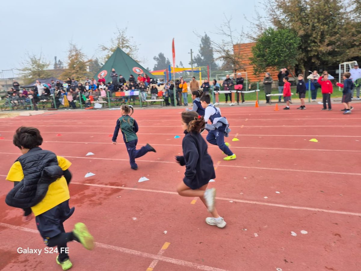 Festival de atletismo acercó a los más pequeños al mundo de las carreras, saltos y lanzamientos