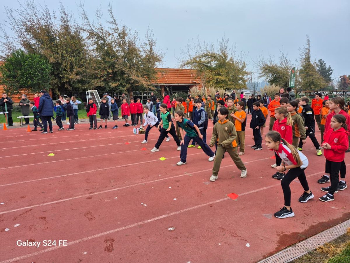 Festival de atletismo acercó a los más pequeños al mundo de las carreras, saltos y lanzamientos