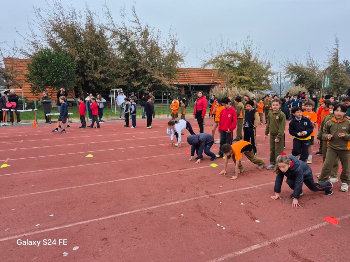 Festival de atletismo acercó a los más pequeños al mundo de las carreras, saltos y lanzamientos