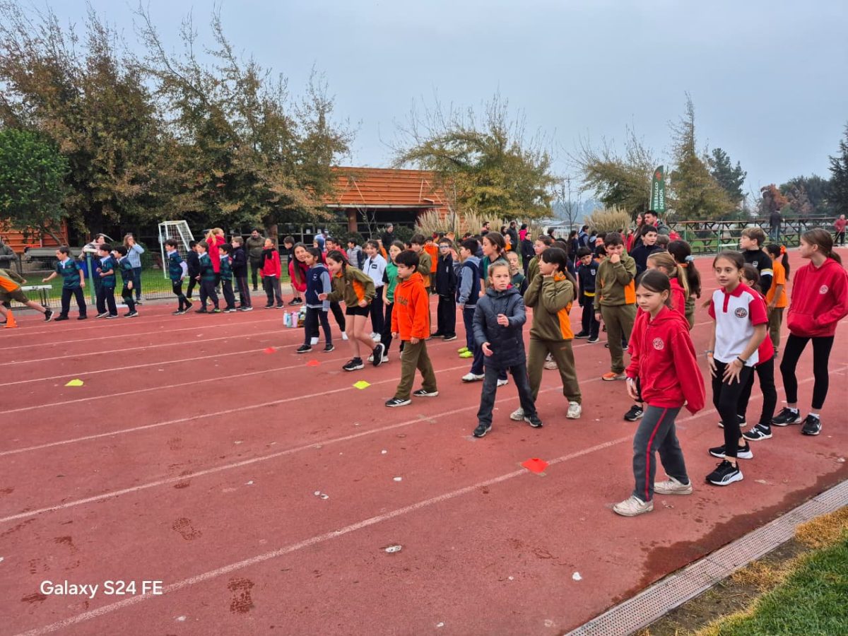 Festival de atletismo acercó a los más pequeños al mundo de las carreras, saltos y lanzamientos