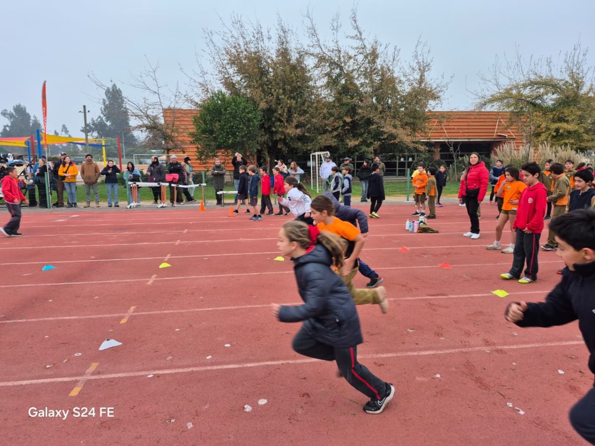 Festival de atletismo acercó a los más pequeños al mundo de las carreras, saltos y lanzamientos