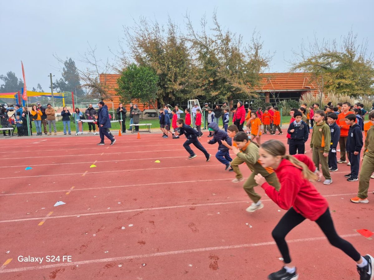Festival de atletismo acercó a los más pequeños al mundo de las carreras, saltos y lanzamientos
