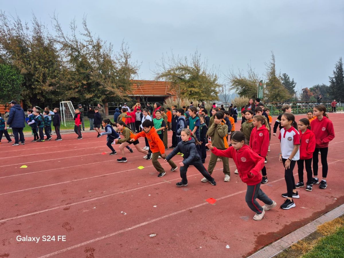 Festival de atletismo acercó a los más pequeños al mundo de las carreras, saltos y lanzamientos