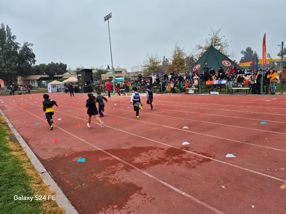 Festival de atletismo acercó a los más pequeños al mundo de las carreras, saltos y lanzamientos