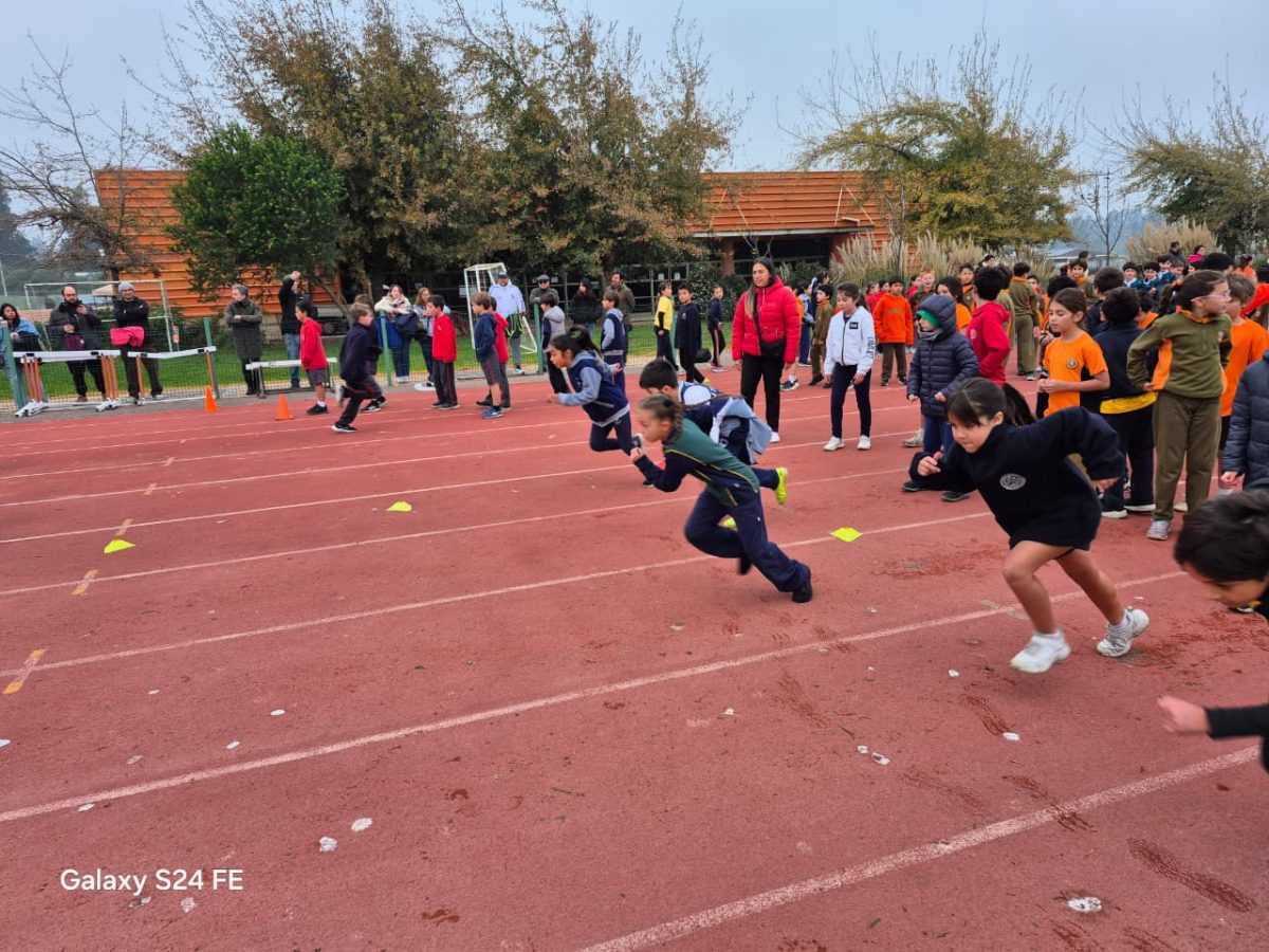 Festival de atletismo acercó a los más pequeños al mundo de las carreras, saltos y lanzamientos