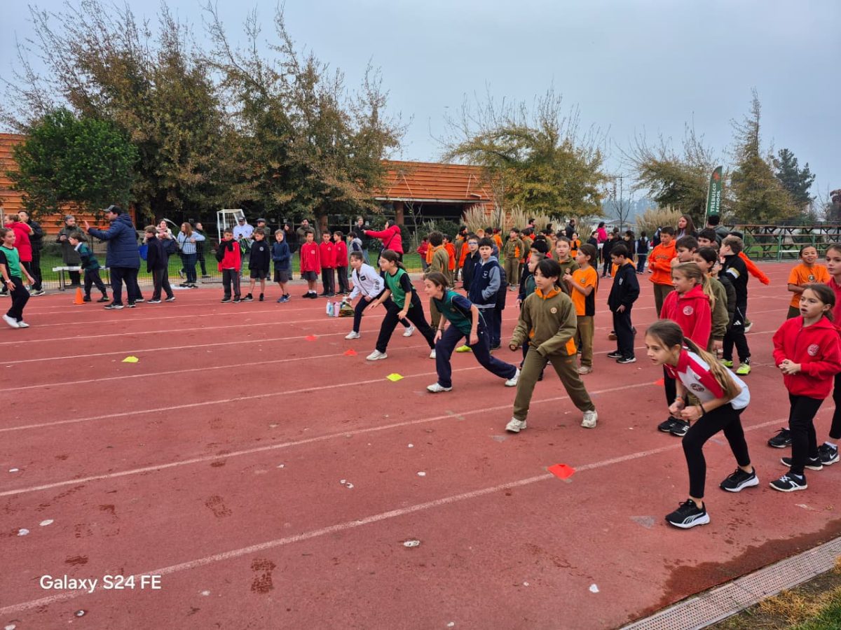 Festival de atletismo acercó a los más pequeños al mundo de las carreras, saltos y lanzamientos